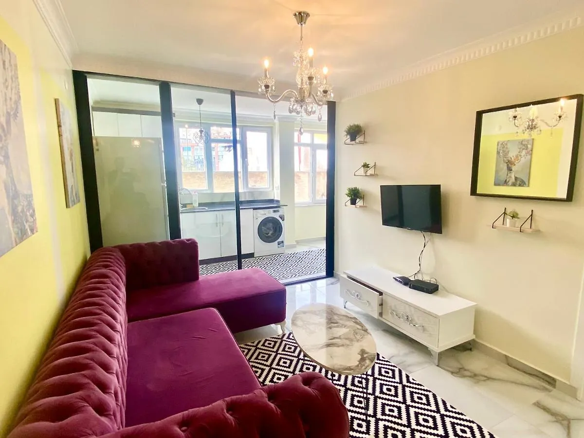 Jazzy Spectacular Homes 100 Mb Wi-Fi contacts